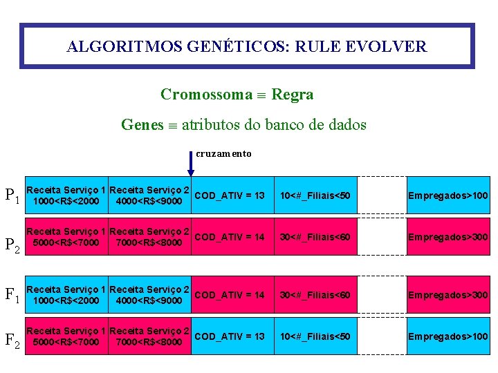 ALGORITMOS GENÉTICOS: RULE EVOLVER Cromossoma Regra Genes atributos do banco de dados cruzamento Receita