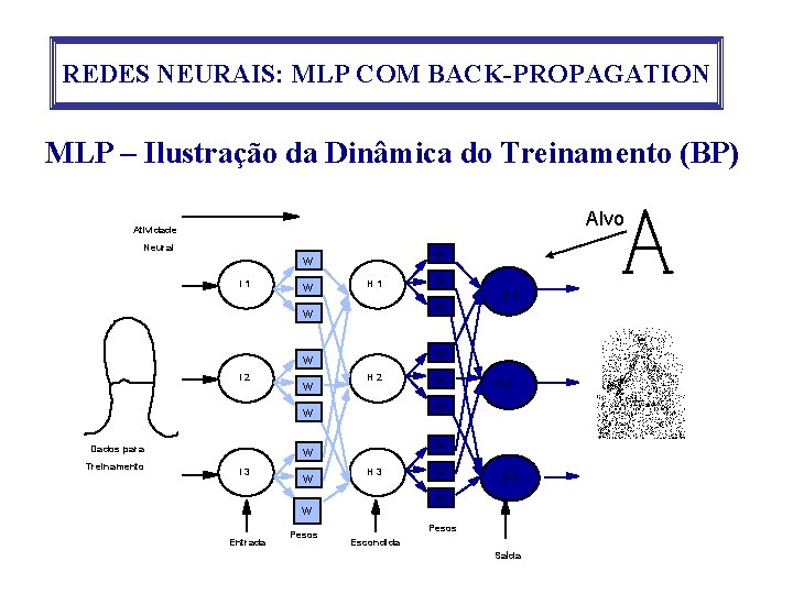 REDES NEURAIS: MLP COM BACK-PROPAGATION MLP – Ilustração da Dinâmica do Treinamento (BP) Alvo