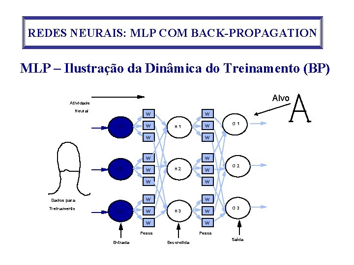 REDES NEURAIS: MLP COM BACK-PROPAGATION MLP – Ilustração da Dinâmica do Treinamento (BP) Alvo