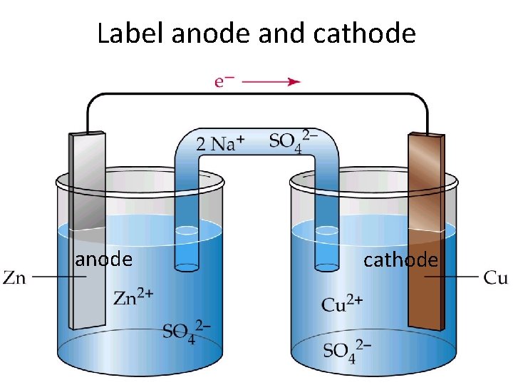 Label anode and cathode anode cathode 