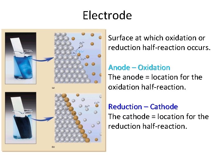 Electrode Surface at which oxidation or reduction half-reaction occurs. Anode – Oxidation The anode