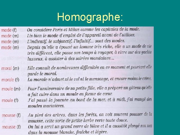 Homographe: Homographe: