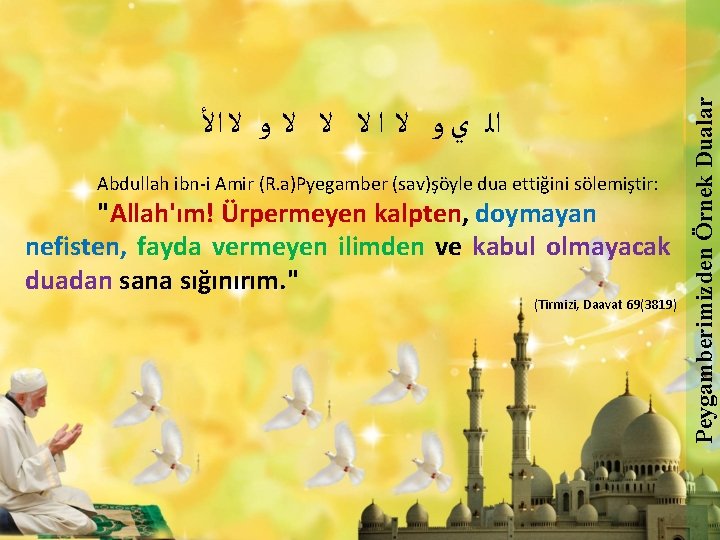 Abdullah ibn-i Amir (R. a)Pyegamber (sav)şöyle dua ettiğini sölemiştir: "Allah'ım! Ürpermeyen kalpten, doymayan nefisten,