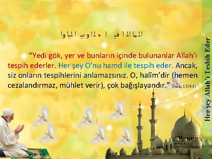  “Yedi gök, yer ve bunların içinde bulunanlar Allah’ı tespih ederler. Her şey O’nu