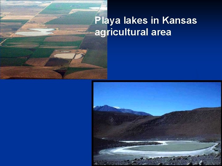 Playa lakes in Kansas agricultural area 