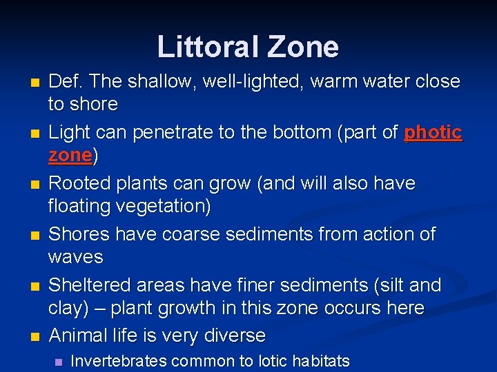 Littoral Zone n n n Def. The shallow, well-lighted, warm water close to shore