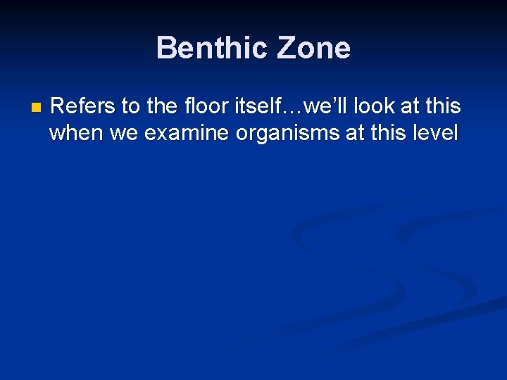 Benthic Zone n Refers to the floor itself…we’ll look at this when we examine