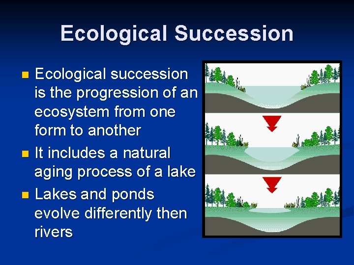 Ecological Succession Ecological succession is the progression of an ecosystem from one form to