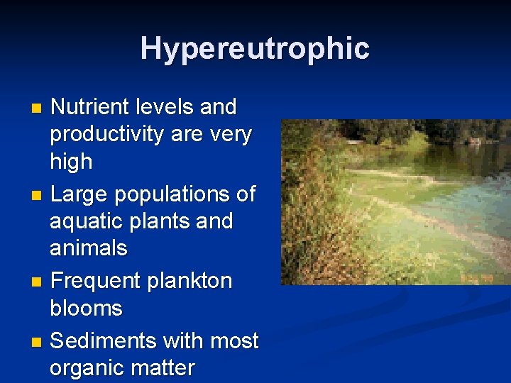 Hypereutrophic Nutrient levels and productivity are very high n Large populations of aquatic plants