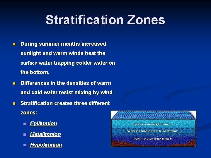 Stratification Zones n During summer months increased sunlight and warm winds heat the surface