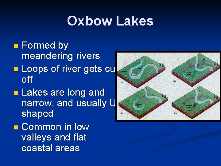 Oxbow Lakes Formed by meandering rivers n Loops of river gets cut off n