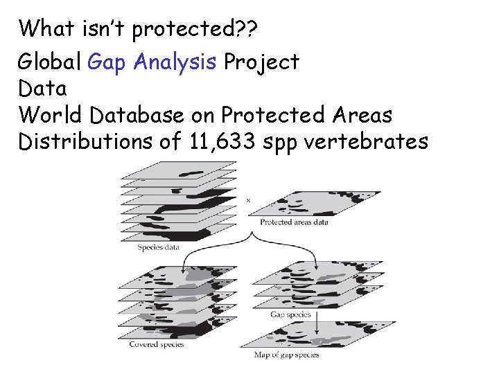 What isn’t protected? ? Global Gap Analysis Project Data World Database on Protected Areas