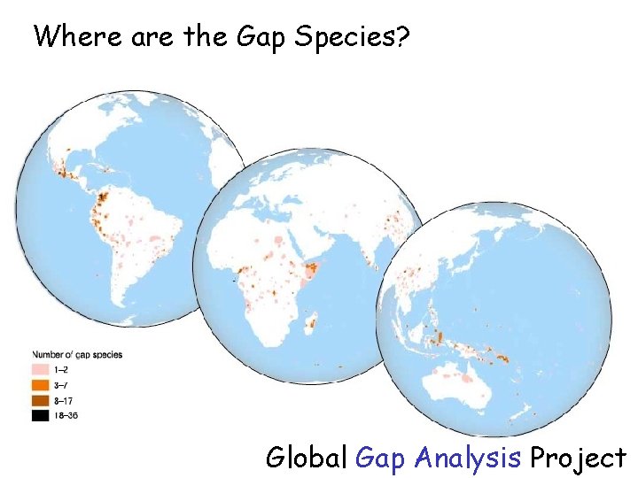 Where are the Gap Species? Global Gap Analysis Project 