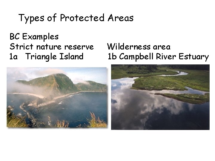 Types of Protected Areas BC Examples Strict nature reserve 1 a Triangle Island Wilderness