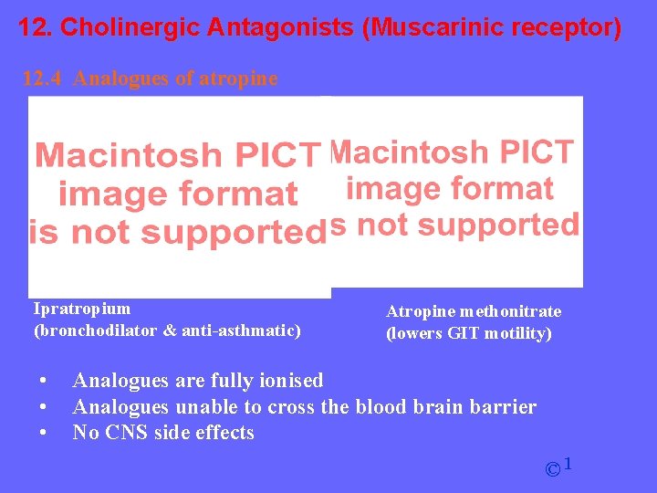 12. Cholinergic Antagonists (Muscarinic receptor) 12. 4 Analogues of atropine Ipratropium (bronchodilator & anti-asthmatic)