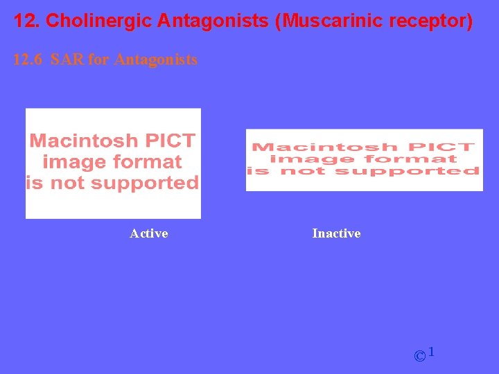 12. Cholinergic Antagonists (Muscarinic receptor) 12. 6 SAR for Antagonists Active Inactive © 1