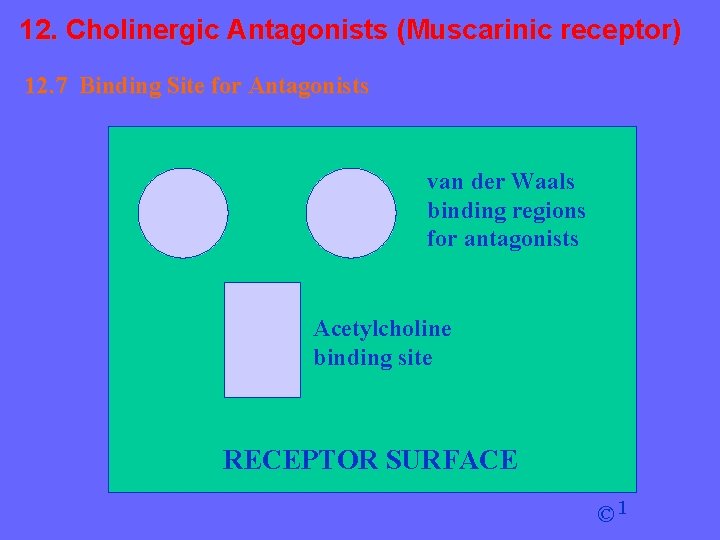 12. Cholinergic Antagonists (Muscarinic receptor) 12. 7 Binding Site for Antagonists van der Waals