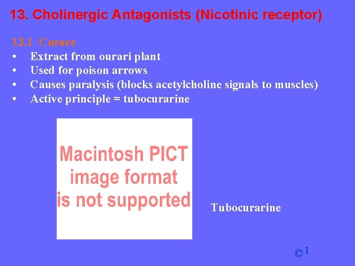 13. Cholinergic Antagonists (Nicotinic receptor) 13. 1 Curare • Extract from ourari plant •