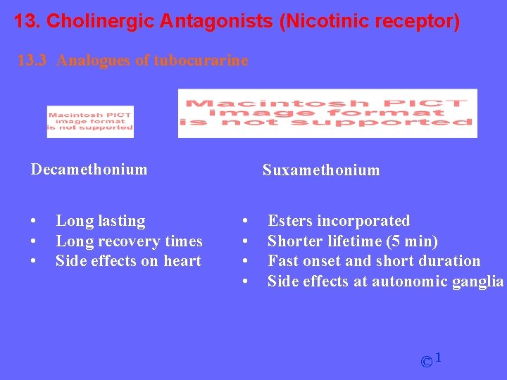 13. Cholinergic Antagonists (Nicotinic receptor) 13. 3 Analogues of tubocurarine Decamethonium • • •