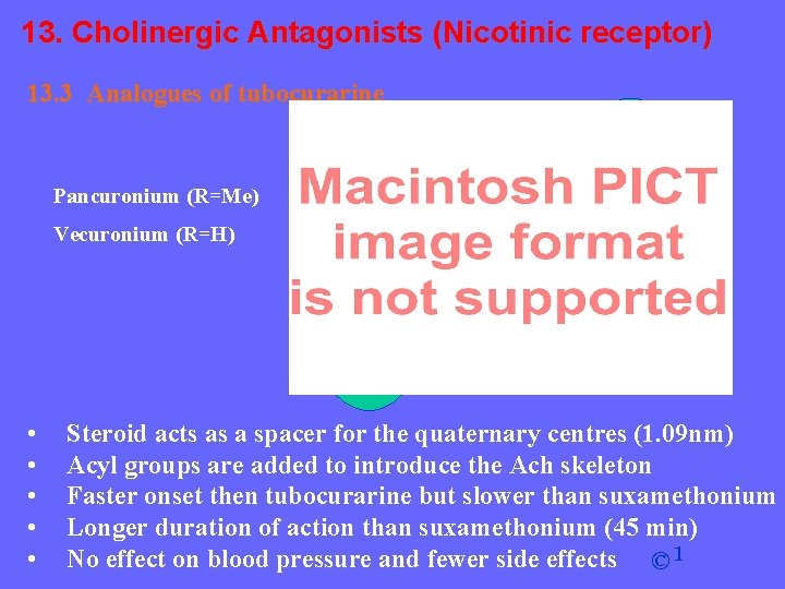13. Cholinergic Antagonists (Nicotinic receptor) 13. 3 Analogues of tubocurarine Pancuronium (R=Me) Vecuronium (R=H)