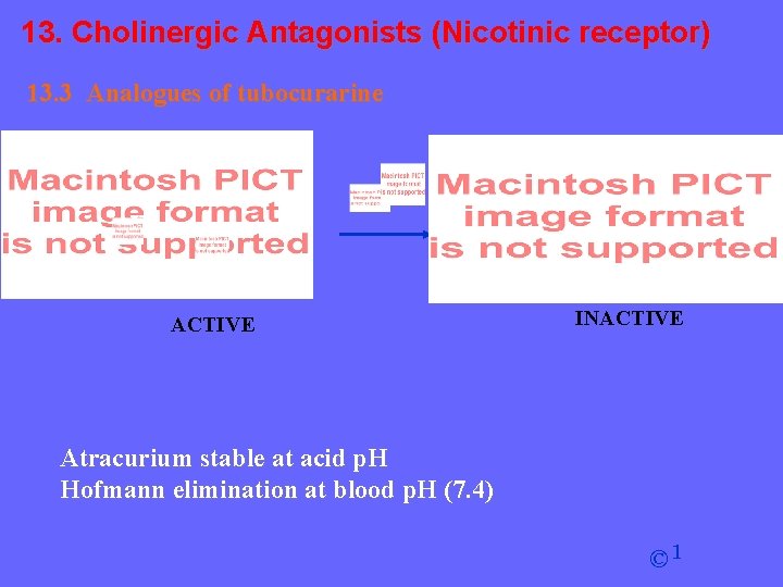 13. Cholinergic Antagonists (Nicotinic receptor) 13. 3 Analogues of tubocurarine ACTIVE INACTIVE Atracurium stable