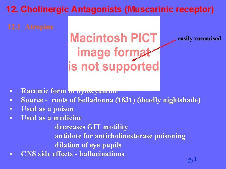 12. Cholinergic Antagonists (Muscarinic receptor) 12. 1 Atropine easily racemised • • • Racemic