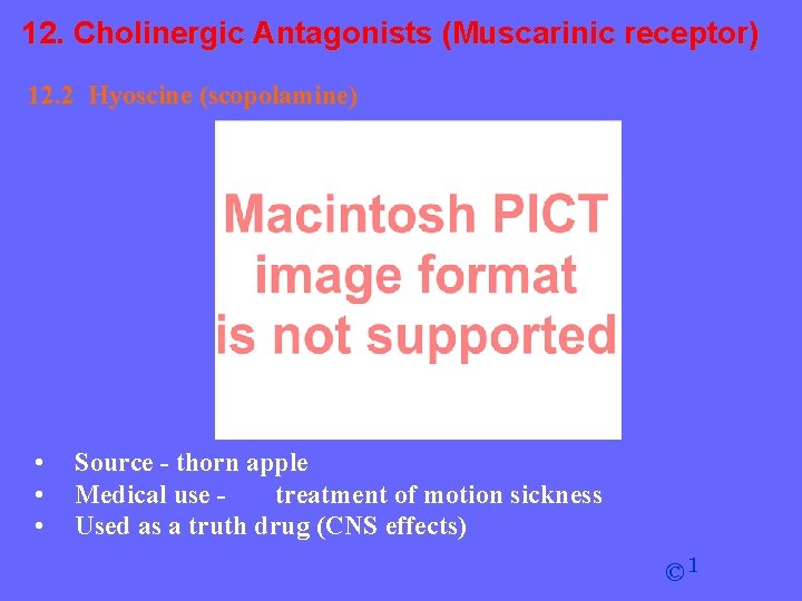 12. Cholinergic Antagonists (Muscarinic receptor) 12. 2 Hyoscine (scopolamine) • • • Source -