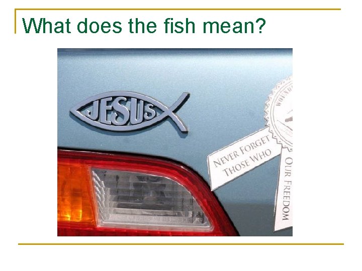 What does the fish mean? What does the fish mean?