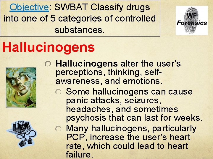 Objective: SWBAT Classify drugs into one of 5 categories of controlled substances. Hallucinogens alter
