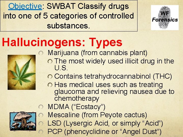 Objective: SWBAT Classify drugs into one of 5 categories of controlled substances. Hallucinogens: Types