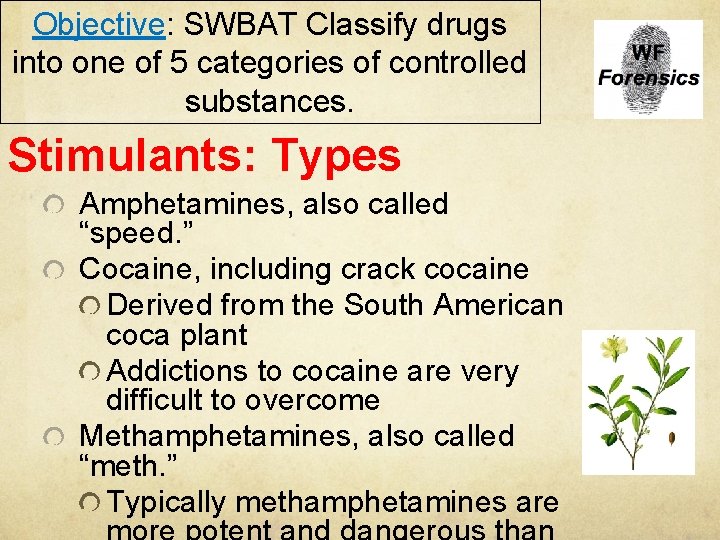 Objective: SWBAT Classify drugs into one of 5 categories of controlled substances. Stimulants: Types