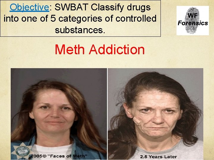 Objective: SWBAT Classify drugs into one of 5 categories of controlled substances. Meth Addiction