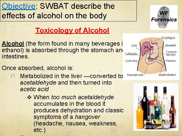 Objective: SWBAT describe the effects of alcohol on the body Toxicology of Alcohol (the