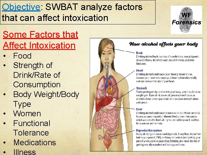 Objective: SWBAT analyze factors that can affect intoxication Some Factors that Affect Intoxication •