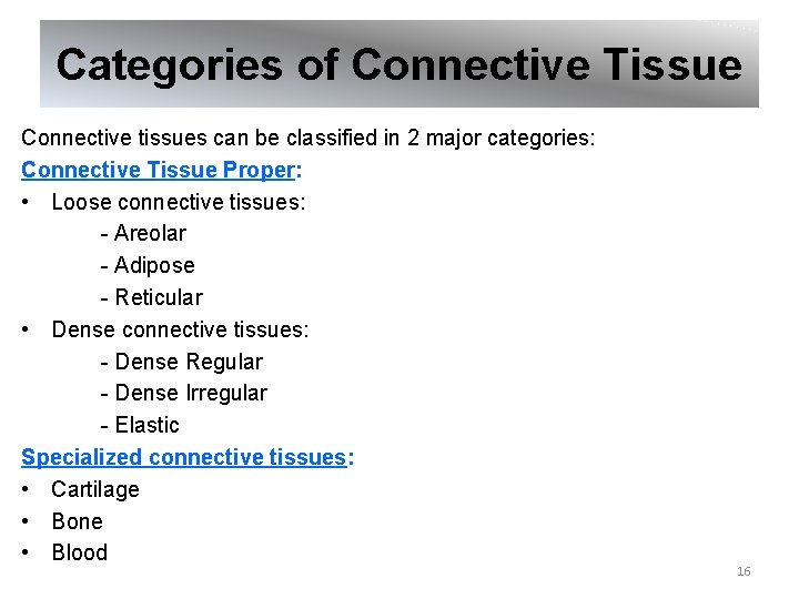 Categories of Connective Tissue Connective tissues can be classified in 2 major categories: Connective