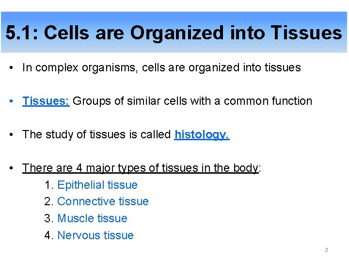 5. 1: Cells are Organized into Tissues • In complex organisms, cells are organized