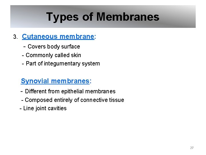 Types of Membranes 3. Cutaneous membrane: - Covers body surface - Commonly called skin