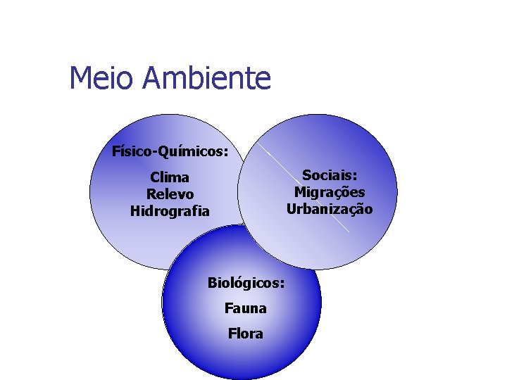 Meio Ambiente Físico-Químicos: Sociais: Migrações Urbanização Clima Relevo Hidrografia Biológicos: Fauna Flora 