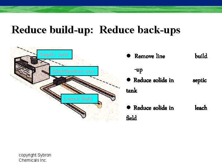 Reduce build-up: Reduce back-ups Septic tank Distribution box Leach field Leach l Remove line