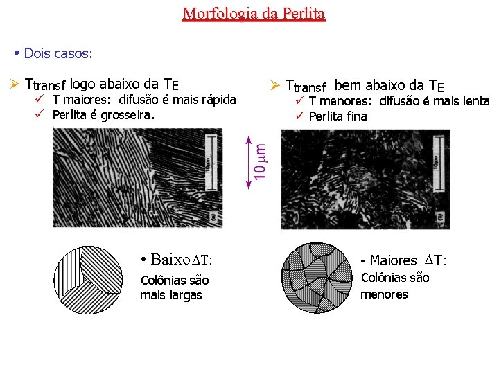 Morfologia da Perlita • Dois casos: Ø Ttransf logo abaixo da TE ü T