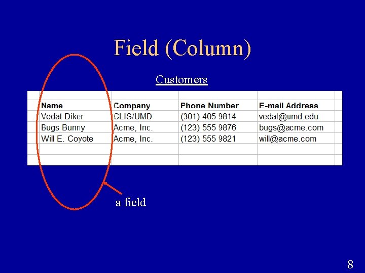 Field (Column) Customers a field 8 