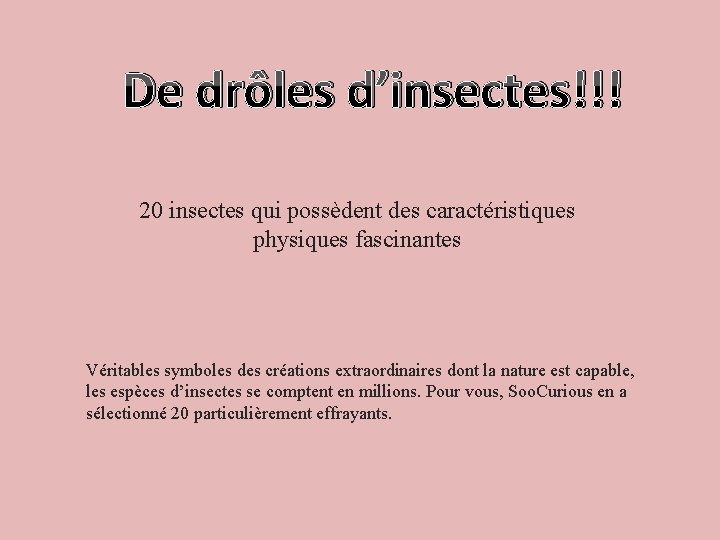 De drôles d’insectes!!! 20 insectes qui possèdent des caractéristiques physiques fascinantes Véritables symboles des De drôles d’insectes!!! 20 insectes qui possèdent des caractéristiques physiques fascinantes Véritables symboles des