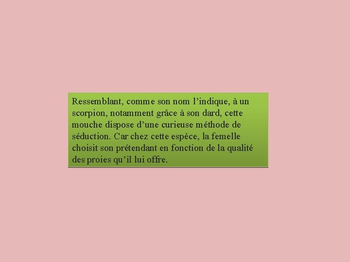 Ressemblant, comme son nom l’indique, à un scorpion, notamment grâce à son dard, cette Ressemblant, comme son nom l’indique, à un scorpion, notamment grâce à son dard, cette