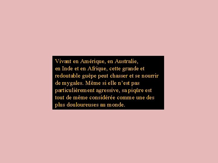Vivant en Amérique, en Australie, en Inde et en Afrique, cette grande et redoutable Vivant en Amérique, en Australie, en Inde et en Afrique, cette grande et redoutable