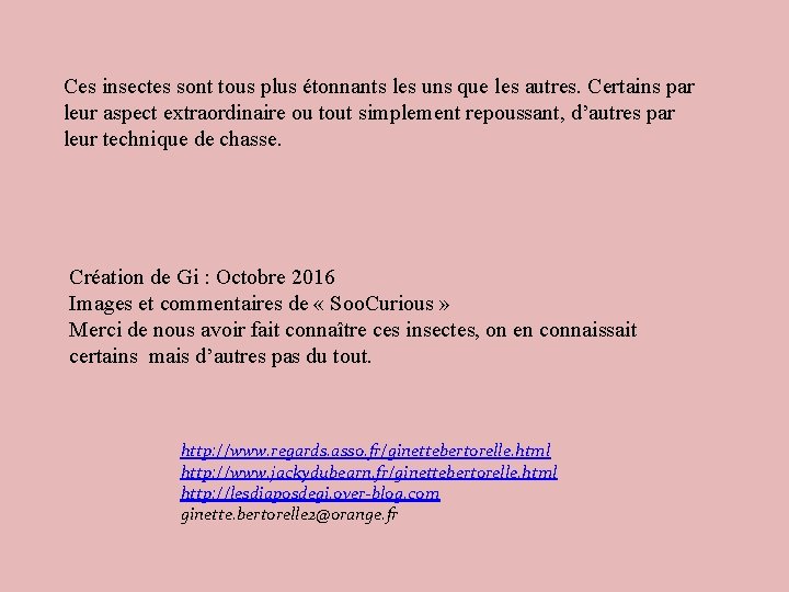 Ces insectes sont tous plus étonnants les uns que les autres. Certains par leur Ces insectes sont tous plus étonnants les uns que les autres. Certains par leur