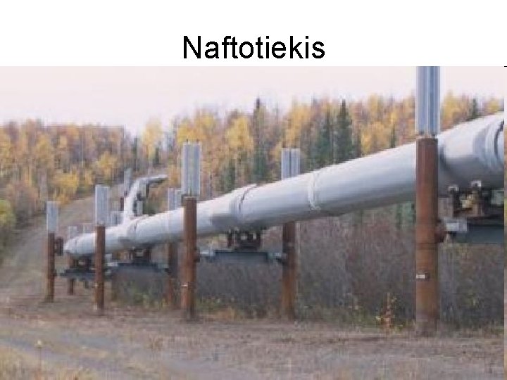 Naftotiekis 