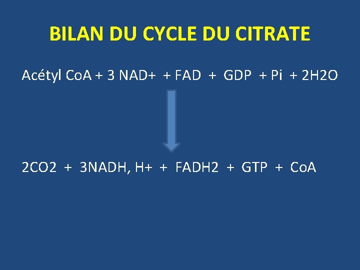BILAN DU CYCLE DU CITRATE Acétyl Co. A + 3 NAD+ + FAD +