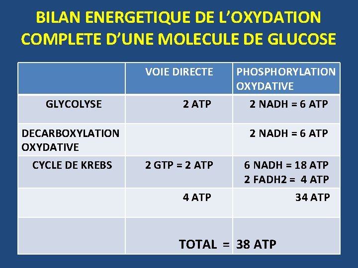 BILAN ENERGETIQUE DE L’OXYDATION COMPLETE D’UNE MOLECULE DE GLUCOSE VOIE DIRECTE GLYCOLYSE 2 ATP