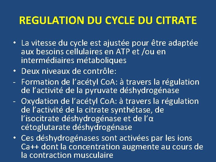 REGULATION DU CYCLE DU CITRATE • La vitesse du cycle est ajustée pour être