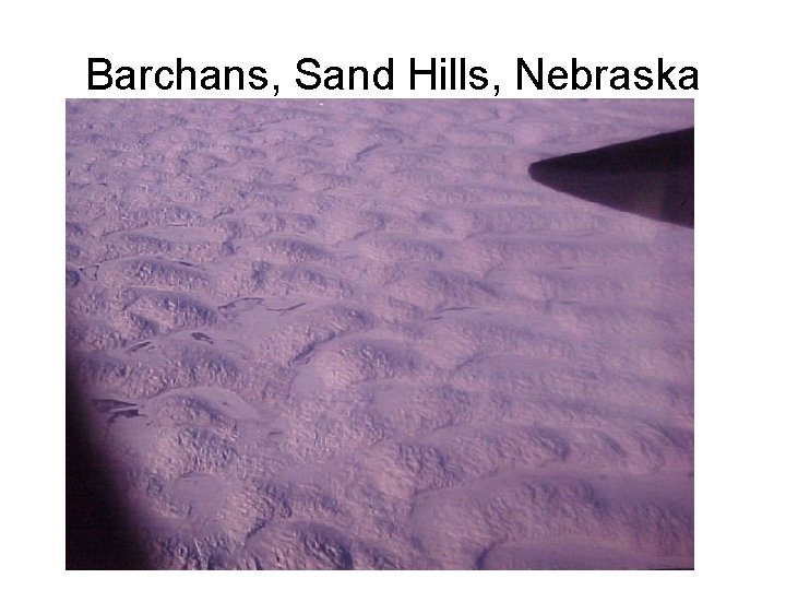 Barchans, Sand Hills, Nebraska 